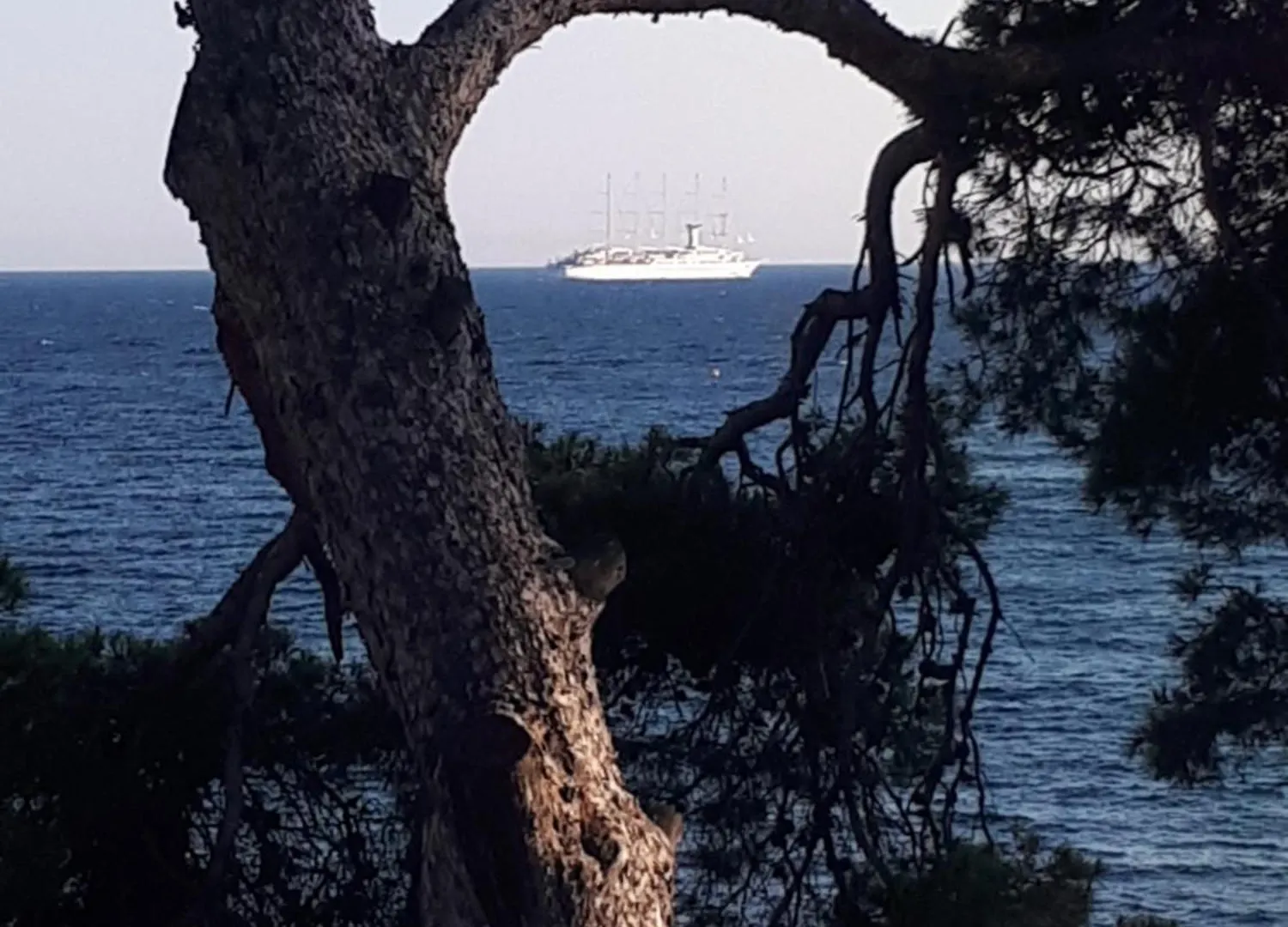 Bandol, T3, Les Pieds Dans L'Eau, Presqu'Ile Du Capelan Apartment 0*, Bandol